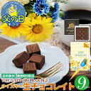 【最短即日出荷】父の日 チョコ ギフト送料無料 The SAPPORO BAR すすきの ウイスキー生チョコレイト(9粒入り)【プレゼント 内祝い お返し チョコレート ウイスキー お酒 お酒入り 生チョコ 生チョコレート ウイスキーボンボン】 SSS_p5