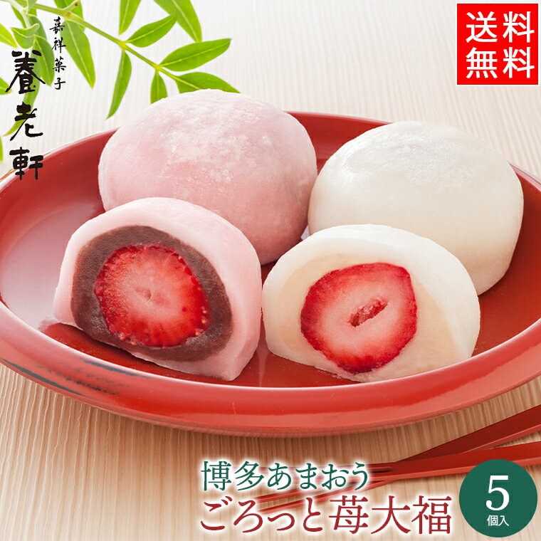 お歳暮 スイーツ ギフト京都 養老軒 博多あまおう ごろっと苺大福(YF-LA5)【御歳暮 内祝い 贈り物 フルーツ フルーツ大福 いちご大福 スイーツ かわいい 人気 果物 旬の果物 いちご イチゴ セット 詰め合わせ お取り寄せ グルメ】