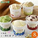 母の日 アイス ギフト送料無料 よつ葉乳業 選べるアイスクリーム(8個)【母の日 遅れてごめんね プレゼント 内祝い 牛乳 お返し 出産内祝い 結婚内祝い 贈り...