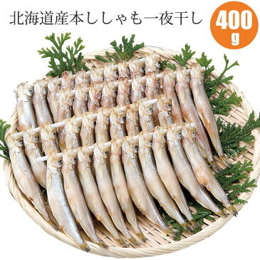 北海道産本ししゃも一夜干し400g（本ししゃもメス40尾）ギフトに北海道産本ししゃも一夜干しセット 送料無料 海鮮ギフト 魚ギフト 食べ物 食品 通販