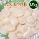 ほたて玉冷1.5kg(Aフレーク) ホタテ玉冷貝柱 帆立 海鮮ギフト