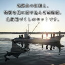 北海道人気の詰合せ【紅鮭石狩漬・紅鮭切身(2切×2パック)・数の子松前漬】 お取り寄せ 海鮮ギフト 2