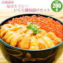 【予約】 塩水生うに エゾバフンウニ 100g + いくら醤油漬け 100gセット 【着日指定不可】【発送:漁ができ次第】【冷蔵】 うに ウニ 生うに 生ウニ ...