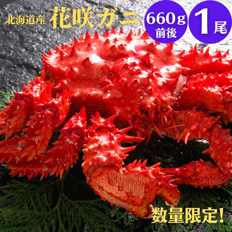 花咲ガニ 660g前後×1尾 北海道産 カニ 花咲ガニ 蟹 蟹ギフト 海鮮ギフト