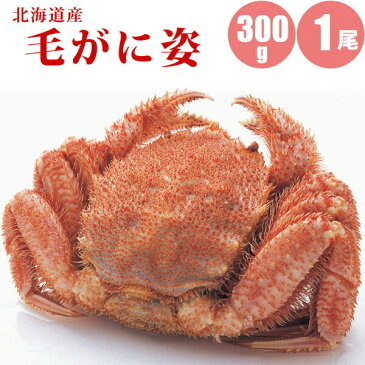 毛ガニ 300g × 1尾 北海道 カニ ボイル冷凍 毛蟹 北海道 蟹通販 カニ通販 カニ お取り寄せ