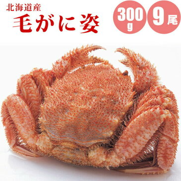 毛ガニ 300g × 9尾 北海道 カニ ボイル冷凍 毛蟹 北海道 カニ味噌も旨い! 蟹通販 カニ通販 カニ お取り寄せ