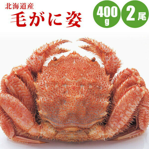 毛ガニ 400g × 2尾 北海道 カニ ボイル冷凍 毛蟹 蟹 蟹ギフト 海鮮ギフト