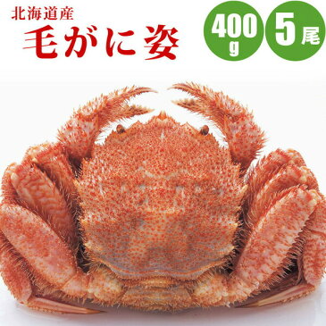 毛ガニ 400g × 5尾 北海道 ボイル冷凍 カニ 毛蟹 北海道 お取り寄せ 蟹通販 カニ通販 お取り寄せ