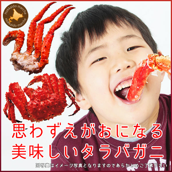 本タラバガニ姿 1.1kg×2尾 タラバガニ姿 タラバ蟹姿 蟹 ボイル冷凍 【送料無料】 蟹通販 カニ通販 通販 お取り寄せ 【 内祝い 御祝い 御礼 誕生日 プレゼント ギフト 】