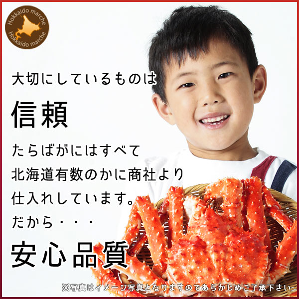 本タラバガニ姿 1.1kg×2尾 タラバガニ姿 タラバ蟹姿 蟹 ボイル冷凍 【送料無料】 蟹通販 カニ通販 通販 お取り寄せ 【 内祝い 御祝い 御礼 誕生日 プレゼント ギフト 】