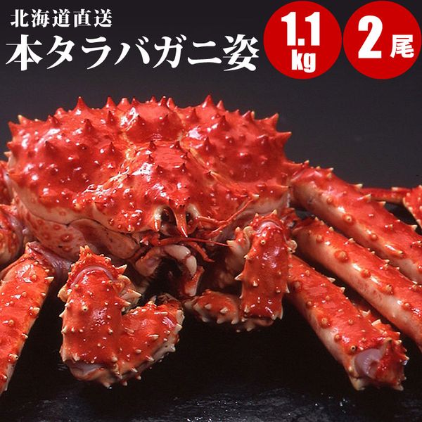 本タラバガニ姿 1.1kg×2尾 タラバガニ姿 タラバ蟹姿 蟹 ボイル冷凍 【送料無料】 蟹通販 カニ通販 通販 お取り寄せ 【 内祝い 御祝い 御礼 誕生日 プレゼント ギフト 】