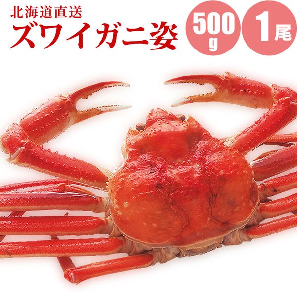 【かに カニ 蟹】 ズワイガニ姿500g×1尾【送料別】 いくら醤油漬け100g1個付 すっきりした甘みの贈り物に最適なズワイガニ姿 カニの中でも人気のズワイガニ姿 【 内祝い 御祝い 御礼 誕生日 プレゼント ギフト 】