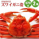 ズワイガニ姿570g×2尾 すっきりした甘みズワイガニ姿 カニの中でも人気のズワイガニ姿 かに カニ 蟹 海鮮ギフト