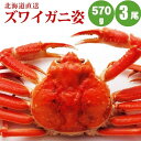 ズワイガニ姿570g×3尾 すっきりした甘みズワイガニ姿 カニの中でも人気のズワイガニ姿 かに カニ 蟹 海鮮ギフト