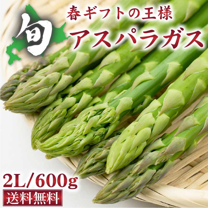 北海道産アスパラガス 2023年 2Lサイズ 600g (150g×4束) グリーンアスパラ 札幌中央卸売市場 お取り寄せ 母の日 プレゼント