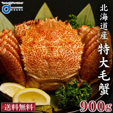 北海道産 特大毛蟹 900g・天然甘塩紅鮭 切り身8切のセット 送料無料 かに 毛ガニ 毛がに 食べ比べ ボイル 海鮮グルメ お取り寄せ プレゼント 敬老の日