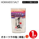 オホーツク塩 1個(100g) しお 調味料 無添加 北海道 オホーツク つらら 遅れてごめんね 父の日 お中元 御中元