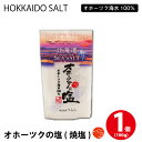 オホーツク塩 1個(100g) しお 調味料 無添加 北海道 オホーツク つらら 母の日 プレゼント