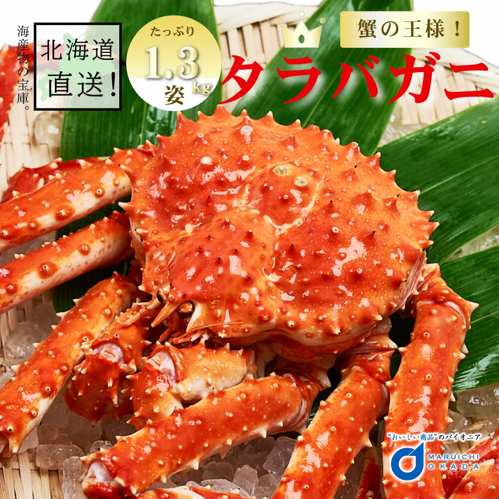 送料無料 たらばがに 姿 1.3kg前後 北海道 たらばがに taraba たらば カニ かに 海鮮ギフト かに鍋 札幌場外市場 グルメ お歳暮 御歳暮