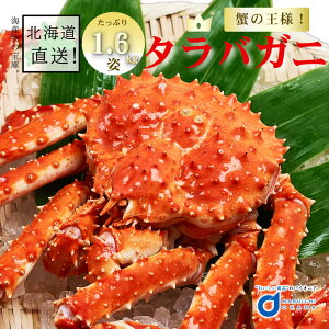 送料無料 たらばがに 姿 1.6kg前後 北海道 たらばがに taraba たらば カニ かに 海鮮ギフト かに鍋 札幌場外市場 グルメ お歳暮 御歳暮