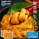 生うに 100g 2パックセット チリ産 無添加 みょうばん...