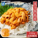 ウニ 塩水 送料無料 塩水うに 100g 北