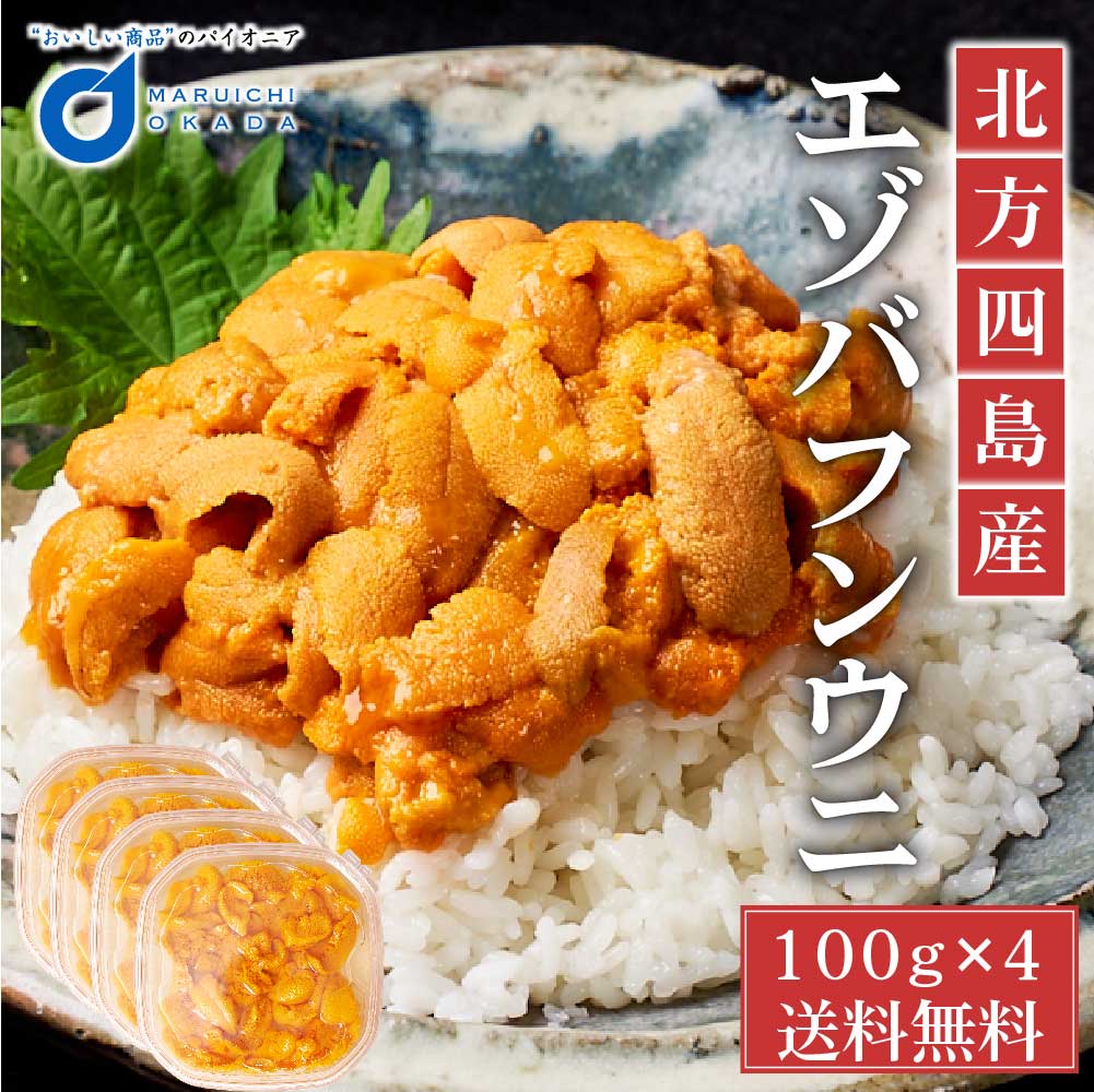 【マラソン期間限定！ポイント5倍！】ウニ 塩水 送料無料 冷蔵配送 塩水うに 100g x 4パック 北方四島産 生うに バフン ウニ 生ウニ 雲丹 北海道 グルメ 場外市場 無添加 塩水パック 母の日 プレゼント