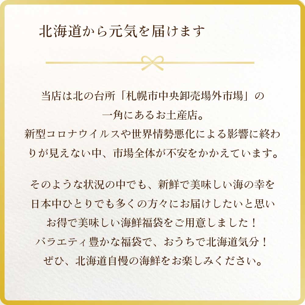 【TVで紹介されました!】札幌中央卸売市場 海鮮11品 福袋 ズワイガニ マグロ セット 送料無料 詰め合わせ お取り寄せ 訳あり フードロス 復興 福袋 お中元 御中元