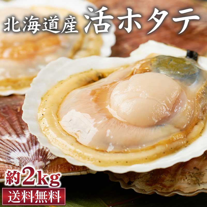 遅れてごめんね ホワイトデー お返し 北海道産 活ホタテ 約2kg 送料無料 生 帆立 ほたて 天然 刺身 刺し身貝 殻付き バーベキュー BBQ 生食OK ギフト プレゼント 母の日