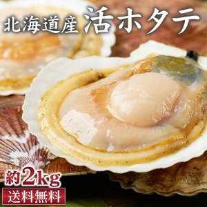 遅れてごめんね ホワイトデー お返し 北海道産 活ホタテ 約2kg 送料無料 生 帆立 ほたて 天然 刺身 刺し身貝 殻付き バーベキュー BBQ 生食OK ギフト プレゼント 母の日