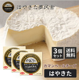 送料無料 カマンベールチーズ はやきた 120g×3個セット 北海道限定 カマンベールチーズ ワイン ギフト ナチュラルチーズコンテスト 母の日 プレゼント
