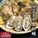 北海道厚岸産 生牡蠣 約2kg 北海道産 カキ かき 刺身 貝 札幌中央卸売市場 ギフト プレゼント 母の日 遅れてごめんね ホワイトデー