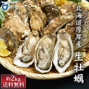 北海道厚岸産 生牡蠣 約2kg 北海道産 カキ かき 刺身 貝 札幌中央卸売市場 ギフト プレゼント 母の日 プレゼント