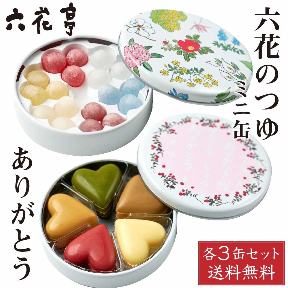 六花亭 六花のつゆ ミニ缶(18粒)×3缶 ありがとう(15個入)×3缶 セット チョコレート プチギフト プレゼント 2次会 引…