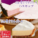 ふらの 雪どけチーズケーキ プレーン ハスカップ 各1個セット 菓子司 新谷 SHINYA 富良野 ギフト お菓子 お土産 北海道限定 雪どけ お歳暮 御歳暮