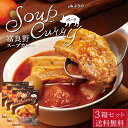 【ポイント5倍★7/15 0時~23:59】富良野 スープカレー ポーク 260g × 3箱セット JAふらの 豚バラ 具入 レトルト ふらの農業協同組合 ギフト お菓子 北海道限定 遅れてごめんね 父の日 お中元 御中元