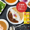 丸市岡田商店 私のための明日のカレー 100g 選べる2種セット メール便 送料無料 レトルトカレー ご当地 札幌 国産 北海道産 野菜 レトルト ギフト 北海...