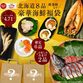 福袋 2024 食品 丸市岡田商店 北海道 海鮮福袋 6品+おまけ2品(全8品) 送料無料 サーモン ほっけ ほたて 訳あり 詰め合わせ 海鮮ギフト お取り寄せ グルメ 母の日 プレゼント