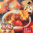 【ポイント5倍★7/15 0時~23:59】富良野 スープカレー ビーフ 260g × 2箱セット 送料無料 JAふらの カレー 国産 牛肉 野菜 具入 レトルト ふらの農業協同組合 ギフト 北海道限定 遅れてごめんね 父の日 お中元 御中元