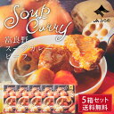 富良野 スープカレー ビーフ 260g × 5箱セット 送料無料 JAふらの カレー 国産 牛肉 野菜 具入 レトルト ふらの農業協同組合 ギフト 北海道限定 ...