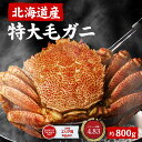 【楽天スーパーSALE！ポイント5倍！】北海道産 毛蟹 毛ガニ 特大 毛がに 800g 送料無料 札幌 場外市場 ボイル 海鮮グルメ お取り寄せ ギフト プレゼント ホワイトデー お返し