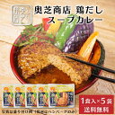 【ポイント5倍★7/15 0時~23:59】奥芝商店 鶏だしスープカレー【1人前 300g】× 5袋セット ハンバーグ 冷凍カレー 冷凍 北海道 札幌 とり 出汁 レンジ 簡単 お土産 プレゼント 遅れてごめんね 父の日 お中元 御中元