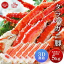 タラバガニ タラバガニ脚 1kg 5肩セット シュリンク包装 たらばがに 札幌 札幌中央卸売市場 ボイル 船上瞬間凍結 3Dフリーザー 海鮮 ギフト プレゼント...