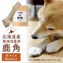 鹿角 犬 エゾシカ 北海道 大サイズ(超大型~大型犬に)18cm以上 北海道産 天然 無添加 蝦夷鹿の角 デンタルケア おもちゃ ハロウィン お歳暮 冬ギフト