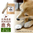 鹿角 犬 エゾシカ 北海道 中サイズ(小型犬~中型犬に)10~18cm 北海道産 天然 無添加 蝦夷鹿の角 デンタルケア おもちゃ ハロウィン お歳暮 冬ギフト