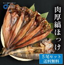 ほっけ 肉厚縞ほっけ 500g前後x5枚 北海道 ほっけ 開き ホッケ 干物 北海道 場外市場直送 ギフト つまみ 食品 法華 プレゼント 遅れてごめんね 母の日 父の日 お中元