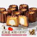 カヌレ ギフト 米粉 カヌレ トマト 10個セット 無添加 スイーツ お菓子 焼き菓子 お取り寄せ 人気 スイーツ カヌレ お取り寄せ プレゼント 訳あり 夏ギ...