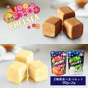 北海道 生食感 チェルシー バタースカッチ味/ヨーグルトスカッチ味 90g×2種 食べ比べセット 道南食品 生キャラメル ガナッシュ お土産 お取り寄せ 夏ギフト お中元 御中元