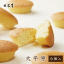 六花亭 送料無料 大平原(だいへいげん) 6個入 マドレーヌ スイーツ お菓子 焼き菓子 ギフト プチギフト 誕生日 内祝い お礼 お返し お祝い ハロウィン お月見 2025 帯広 個包装 銘菓 感謝 御供 退職 転勤 お歳暮 冬ギフト