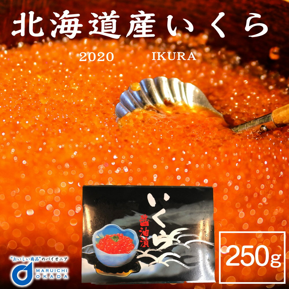 【マラソン期間限定！ポイント5倍！】送料無料 北海道産 いくら 醤油漬 250g いくら 北海道 イクラ 卵 ギフト 魚卵 市場 グルメ フードロスロス 父の日 プレゼント